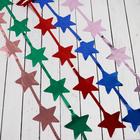 Дождик новогодний «Зимнее волшебство. Праздник», звёздочки, b - 100 см, L - 200 см, МИКС - Фото 1