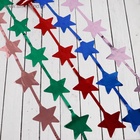 Дождик новогодний «Зимнее волшебство. Праздник», звёздочки, b - 100 см, L - 200 см, МИКС 5036623