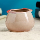 Декоративный горшок для цветов «Совёнок Бом», 150 мл, 8×6×5.5 см, керамический  (артикул 5081638)  большой выбор товаров оптом и в розницу по низким ценам с доставкой