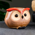 Декоративный горшок для цветов «Совёнок Бом», 150 мл, 8×6×5.5 см, керамический  (артикул 5081638)  большой выбор товаров оптом и в розницу по низким ценам с доставкой