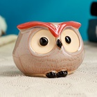 Декоративный горшок для цветов «Совёнок Бом», 150 мл, 8×6×5.5 см, керамический  (артикул 5081638)  большой выбор товаров оптом и в розницу по низким ценам с доставкой