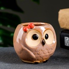 Декоративный горшок для цветов «Совёнок Бом», 180 мл, 7×6×6.5 см, керамический  (артикул 5081639)  большой выбор товаров оптом и в розницу по низким ценам с доставкой