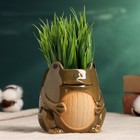 Горшок "Лягушка" зеленый, 8,5х8х9см - Фото 1
