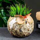 Декоративный горшок для цветов «Совёнок», 550 мл, 11×11.5×10 см, керамика, бежевый - Фото 10