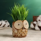 Декоративный горшок для цветов «Совенок», керамический, 200 мл, 8×7×8 см, бежевый - Фото 1