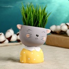 Декоративный горшок для цветов «Милый котёнок», 300 мл, 11×6 см, керамика - Фото 9