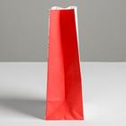 Пакет без ручек «Время добрых подарков», 10 х 19.3 х 7 см - Фото 4