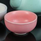 УЦЕНКА Набор для чайной церемонии керамический «Утро», 5 предметов: чайник 200 мл, 4 чашки 50 мл - Фото 2