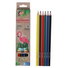 Цветные карандаши 6 цветов ZOO, пластиковые, шестигранные - фото 52136166