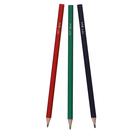 Цветные карандаши 12 цветов ZOO, пластиковые, шестигранные - фото 7533246