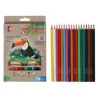 Цветные карандаши 18 цветов ZOO, пластиковые, шестигранные - Фото 1
