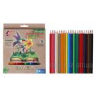 Цветные карандаши 24 цвета ZOO, пластиковые, шестигранные - Фото 1