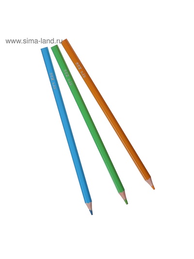 Цветные карандаши 24 цвета ZOO, пластиковые, шестигранные