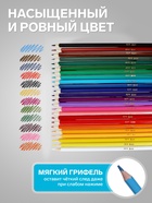 Карандаши цветные 24 ZOO, пластиковые, шестигранные - Фото 3