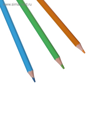 Цветные карандаши 24 цвета ZOO, пластиковые, шестигранные