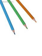 Карандаши цветные 24 ZOO, пластиковые, шестигранные - Фото 6