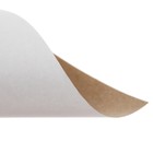 Картон белый А4, 8 листов "Луч", плотность 220 г/м2 - Фото 7