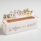 Коробочка для макарун «Meow or never», 18 х 5,5 х 5,5 см - фото 9053796