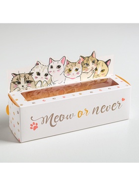 Коробка для макарун кондитерская, упаковка «Meow or never», 18 х 5,5 х 5,5 см (комплект 5 шт)