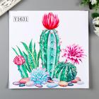 Наклейка пластик интерьерная "Цветущие кактусы" 30х30 см - фото 6325355