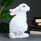 Копилка "Заяц русак" большой, 35х25см - фото 23110416