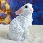 Копилка "Заяц русак" большой, 35х25см - фото 23110418