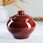 Набор горшков "Подарочный с ухватом" 6х0,5л, стандарт - фото 24333018