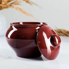 Набор горшков "Подарочный с ухватом" 6х0,5л, стандарт - фото 24333019