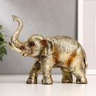 Сувенир полистоун "Золотой слон" 13х16,8х6,5 см - фото 320094354