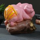 Копилка "Свинка на мешке" розовая, 20х15х21см - Фото 3