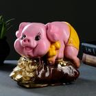 Копилка "Свинка на мешке" розовая, 20х15х21см - Фото 4