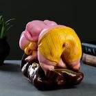 Копилка "Свинка на мешке" розовая, 20х15х21см - Фото 5