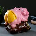 Копилка "Свинка на мешке" розовая, 20х15х21см - Фото 6