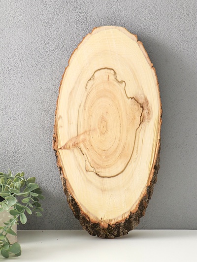 Спил осины, косой, слэб для декора, 40×18±2 см