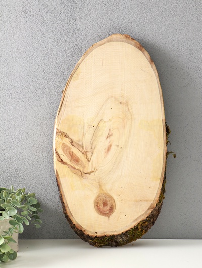 Спил осины, косой, слэб для декора, 45×20±2 см