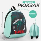 Рюкзак школьный детский для мальчика «Динозавр», 20х13х26 см, отд на молнии, зелёный - фото 9055652