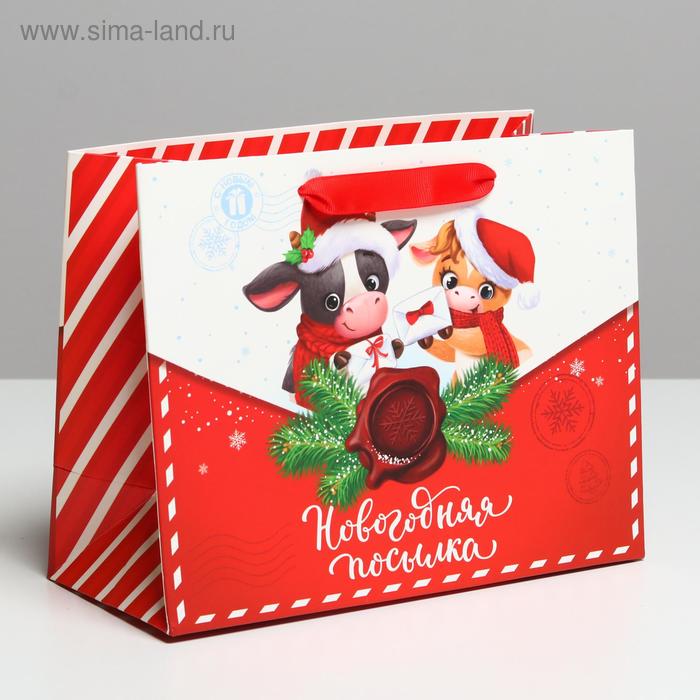 Пакет ламинированный горизонтальный «Новогодняя посылка», MS 23 × 18 × 10 см - Фото 1