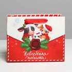 Пакет ламинированный горизонтальный «Новогодняя посылка», MS 23 × 18 × 10 см - Фото 2
