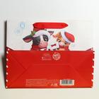 Пакет ламинированный горизонтальный «Новогодняя посылка», MS 23 × 18 × 10 см - Фото 4