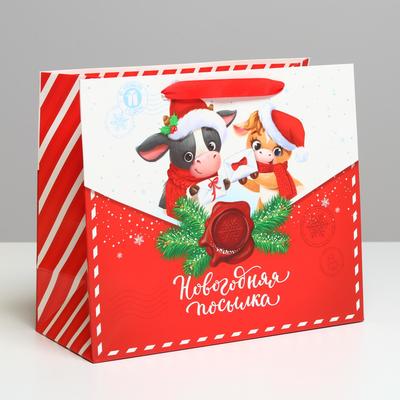 Пакет ламинированный горизонтальный «Новогодняя посылка», ML 27 × 23 × 11,5 см