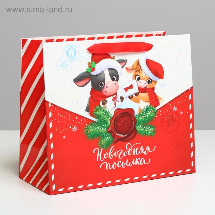 Пакет ламинированный горизонтальный «Новогодняя посылка», ML 27 × 23 × 11,5 см - Фото 1
