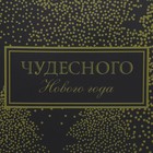 Пакет подарочный новогодний ламинированный «Чудесного Нового года», L 31 х 40 х 11,5 см 4843293 - фото 1532962