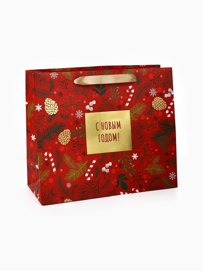 Пакет подарочный новогодний ламинированный «Время волшебства», ML 27 х 23 х 11.5 см