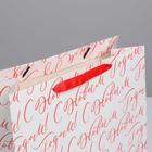 Пакет подарочный новогодний ламинированный «С Новым годом!», ML 27 х 23 х 11.5 см 4843392