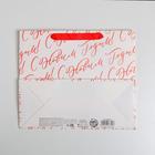 Пакет подарочный новогодний ламинированный «С Новым годом!», ML 27 х 23 х 11.5 см 4843392