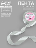 Лента атласная, 25 мм, 23±1 м, цвет серебряный №176 - Фото 1