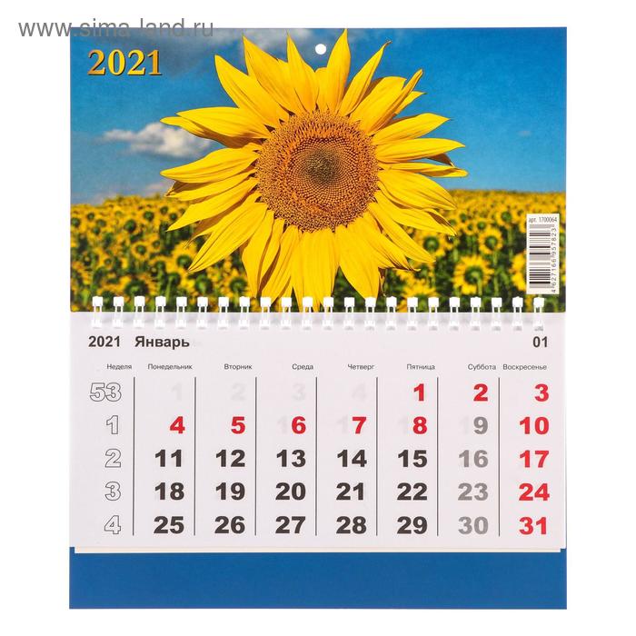 Календарь моно "Цветы-1" 2021 год, 20 × 24 см - Фото 1