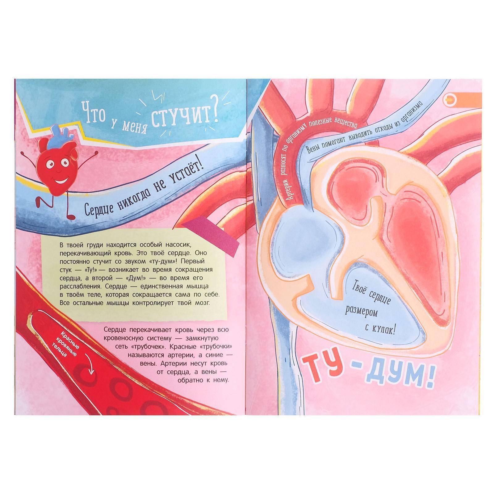 Ухо стучит как сердце. Пока бьется сердце книга. Энциклопедия для детей 3-4 лет как стучит сердце. Стук сердца звук. Почему сердце бьётся