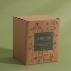 Органайзер для хранения ватных палочек «BAMBOO», с крышкой, d - 9,5 × 9,7 см, в картонной коробке, цвет прозрачный/коричневый - фото 6327097