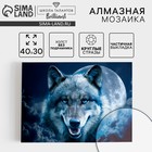Алмазная мозаика с частичным заполнением на холсте «Магия волка», 30×40 см - Фото 1